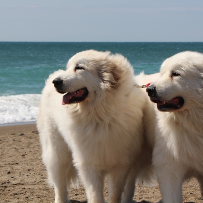 himawari611のカバー写真