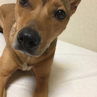 長い間ありがとうございました