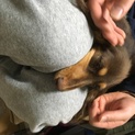 一旦応募を締め切らせていただきます。