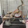 最初はこんなレイアウトでした。