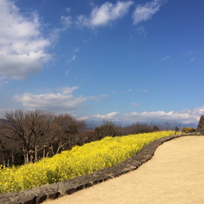 ９９のカバー写真