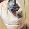 まめつぶ★