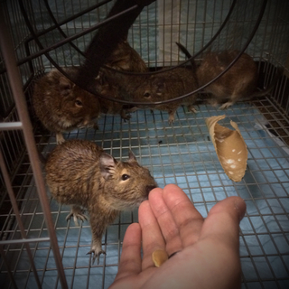 たくさんの応募ありがとうございました。