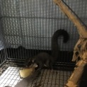 応募多数の為一時締め切らせていただきます。