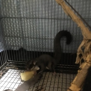 応募多数の為一時締め切らせていただきます。