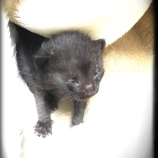 ※緊急です‼︎※