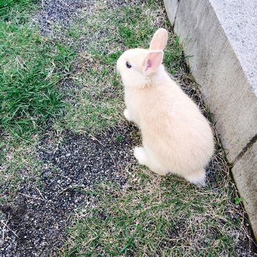 全然捕まりません。