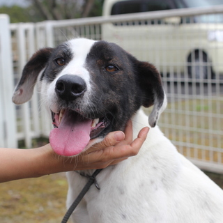 優しい家族を待っています！