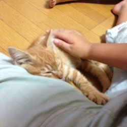 「生きる為に。」サムネイル3