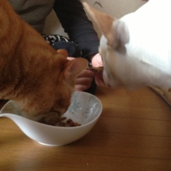 「KUUの現在。」サムネイル3