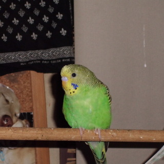 応募多数の為募集停止します