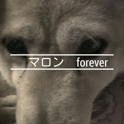 ｍａｒｒｏｎ　ｆｏｒｅｖｅｒ