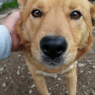 いつも真っ先にお出迎えのたけし君