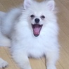 の写真