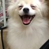 の写真