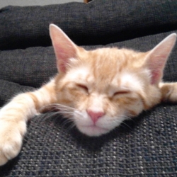 おしっこ検査再び。