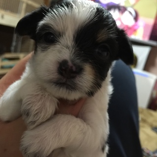 生まれて一カ月内