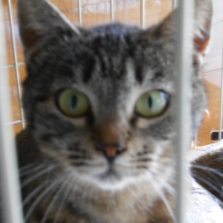 温かなおうち募集中、みずほです