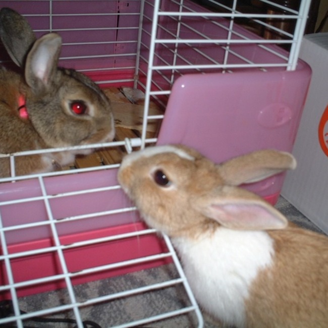 sa.yakanのカバー写真