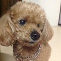 応募して頂いて有難うございました。