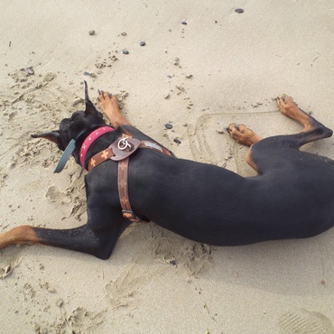 海水浴場じゃないけど、高校生の時から来ている浜辺です