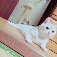 ふみくん