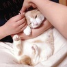みみかき中のあしがかわいくて……