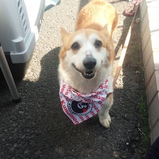 良いご縁が繋がりました♬