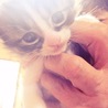 赤ちゃんのとき