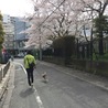 春20160403