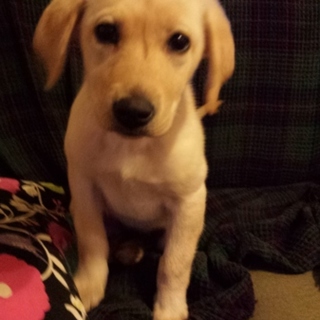 申し込み殺到のため一時締め切らせてください。