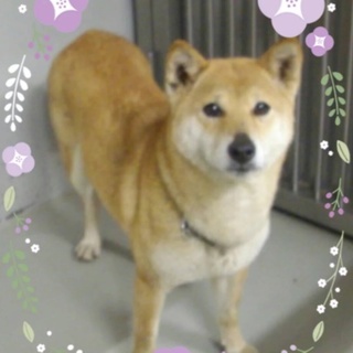 時間がありません！助けて下さい!!