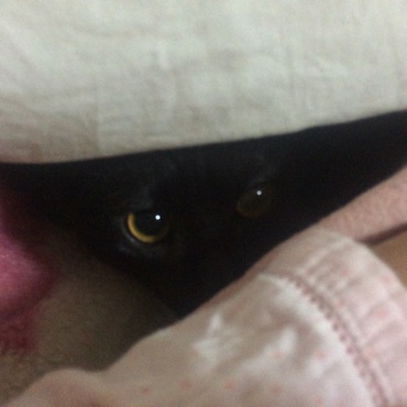 悪戯した後のまん丸お目々