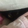 悪戯した後のまん丸お目々