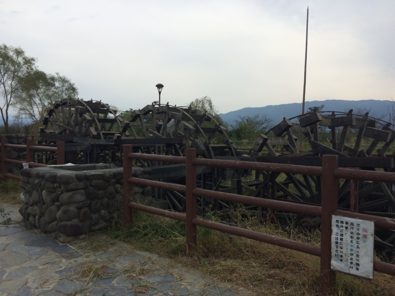きまりました」福岡県 - 犬の里親募集(104875) 1枚目の画像 :: ペット 