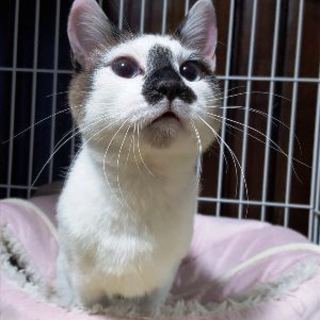 胡太郎　人が大好きです！