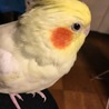 の写真