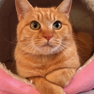 ちまちゃん　　まだちょっと怖がりです