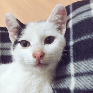 人懐っこい男の子！