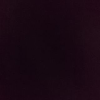 里親さんが決まりました。ありがとうございました。