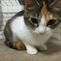 ブチ