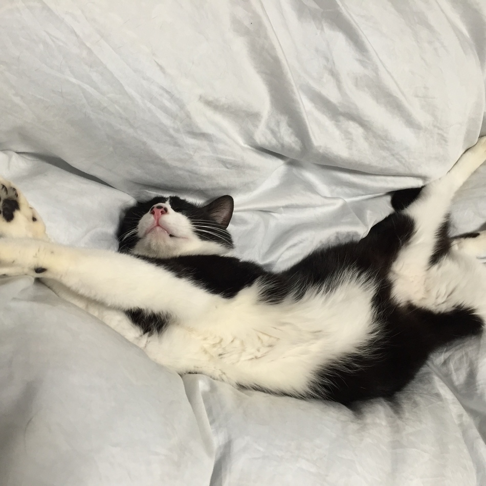 不二子のカバー写真