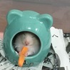 にんじん、おいしい♪