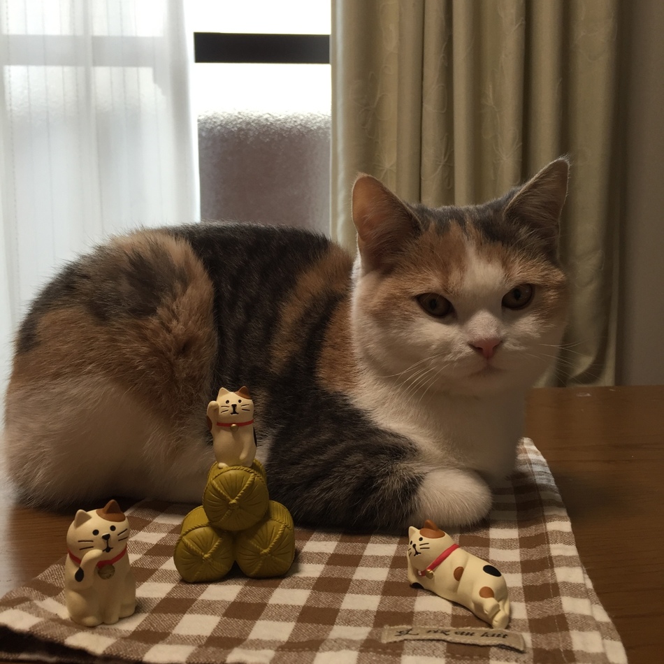 レモンのカバー写真