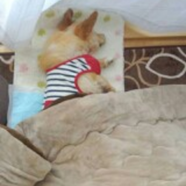 お昼寝٩(๑´0`๑)۶ 