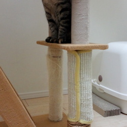 「爪とぎをリペアー　（～ズボラ仕上げ～）」サムネイル1