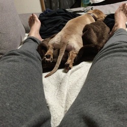 初めての。