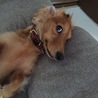 の写真