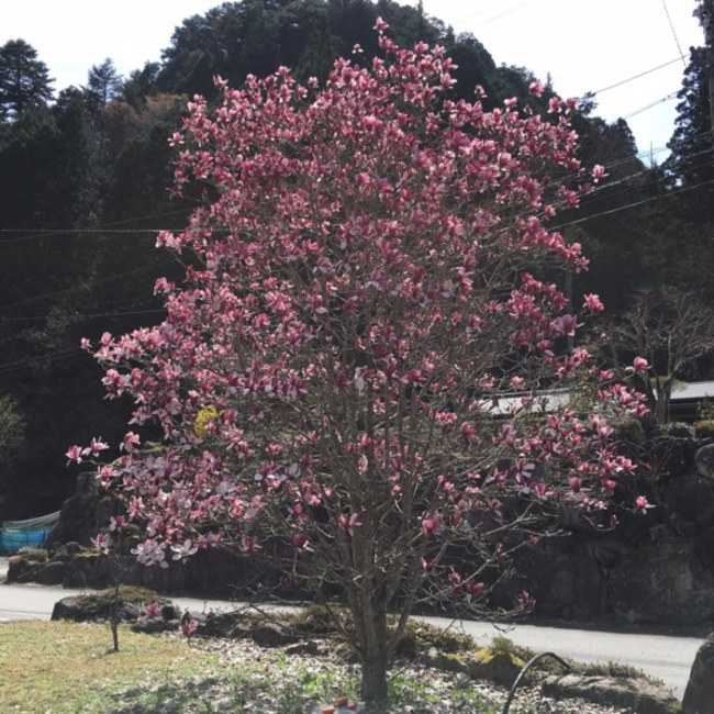 gen0104のカバー写真