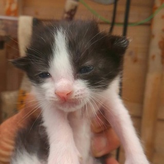 ありがとうございました。